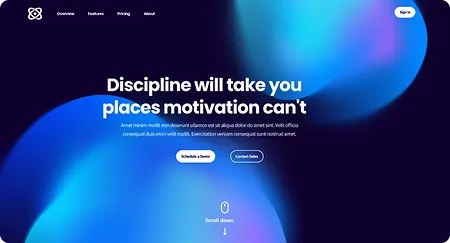 Web Design & Development